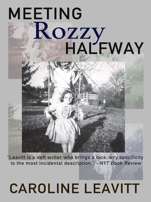 cover image of Meeting Rozzy Halfway